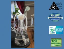Photo for Biological dentist near me, Dr. Mercola, SMART certified dentist, FDA mercury, FDA amalgam