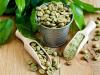 Photo for Coffee Bean Extract Market 2020: Industry Growth, Trends and Research Report, To 2025
