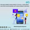 Photo for Mobile Application Development Agency Indianapolis