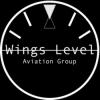 Photo for Wings Level Aviation Group, LLC