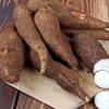 Photo for Tapioca Market 2020: Industry Growth, Trends and Research Report, To 2025
