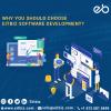 Photo for Software Application Development Company