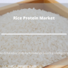 Photo for Comprehensive Report on Rice Protein Market