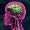 Photo for Alzheimer's Disease Drug Market Growth and Forecast up, 2028