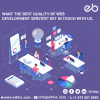 Photo for Web Development Service Agency Indianapolis
