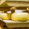 Photo for Global Lactose-free Cheese Market 2020 | Manufacturers, Regions, Type and Application, Forecast to 2025