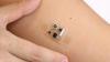 Photo for Biosensors Market Size Worth $33.76 Billion By 2026
