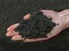 Photo for Global Biochar Market Research Report - Industry Analysis, Size, Share, Growth, Trends and Forecast Till 2026