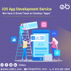 Photo for IOS Application Development Services Indianapolis