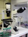 Photo for Preclinical CRO Market Size, Share, Growth, Trends and Industry Analysis Report, 2018 to 2025