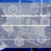 Photo for Comprehensive Report on Germany Data Monetization Market