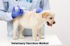 Photo for Global Veterinary Vaccines Market Size, Share, Growth And Forecast To 2030