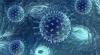 Photo for Global Biocides Market Research Report - Industry Analysis, Size, Share, Growth, Trends and Forecast Till 2026