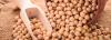 Photo for Global Soybean Market 2020 | Manufacturers, Regions, Type and Application, Forecast to 2025