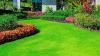 Photo for JP’s Lawn Service LLC