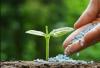 Photo for Global Biopesticides Market Research Report - Industry Analysis, Size, Share, Growth, Trends and Forecast Till 2026