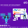 Photo for ASP Dot Net Developer Indianapolis
