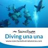 Photo for Diving Una Una