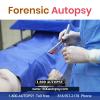 Photo for Forensic Autopsy