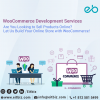 Photo for Woocommerce Development Company Indianapolis, USA