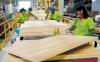 Photo for Rise in Consumption of Wood & Wood Products Expected to Drive Vietnam Wood Industry: Ken Research