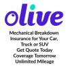 Photo for Olive