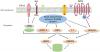 Photo for gold nanoparticles od
