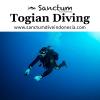 Photo for Togian Diving