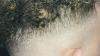 Photo for Best service for Haircuts in New Basford