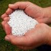 Photo for Global Specialty Fertilizers Market Research Report - Industry Analysis, Size, Share, Growth, Trends and Forecast Till 2026
