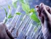 Photo for Global Bio Polyproplylene Market Witnessing Huge Growth Outlook: Ken Research