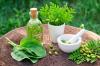 Photo for The Disadvantages of Herbal Medicines