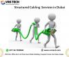 Photo for Advanced Structured Cabling Solutions in Dubai - VRS Tech