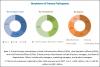 Photo for Preparative and Process Chromatography Market to Reflect Impressive Growth in Healthcare Industry