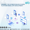 Photo for Xamarin App Development Agency Indianapolis, USA