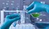 Photo for Tert-Butylamine Monobasic Market Trends, Revenue, Challenges & Growth Opportunity 2013-2028