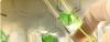 Photo for Cerium chloride heptahydrate