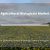 Photo for Agricultural Biologicals Market is anticipated to attain a market size of US$16,622.122 million by 2024