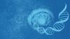 Photo for Global Single Cell Genomics Market Research Report - Industry Analysis, Size, Share, Growth, Trends and Forecast Till 2026