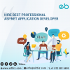 Photo for Best Professional ASP.Net Developers Indianapolis, USA