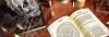 Photo for Kala Jadu Expert| Call +918005545530