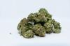Photo for Mexico Medical Cannabis Market Size, Share, Growth, Trends and Industry Statistics Report, 2019 to 2025