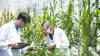 Photo for Global Agricultural Biotechnology Market Research Report: Ken Research