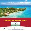 Photo for Mombasa Safari Trips