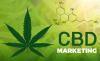 Photo for Cannabidiol Market Size Worth $9.69 Billion By 2025
