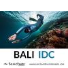 Photo for Bali Idc