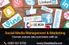 Photo for Top Social Media Management Agency in London