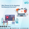 Photo for Angular Js Development Services Indianapolis, USA
