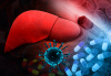 Photo for Global Hepatitis C Virus (HCV) Drugs Market Research Report - Industry Analysis, Size, Share, Growth, Trends and Forecast Till 2026