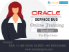 Photo for OSB Online Training